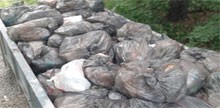 27 Июля 2020 года из Шарташского лесопарка с территории арендуемой ООО фирма ПРУЗ были вывезены твердые бытовые отходы в количестве 20 кубометров
