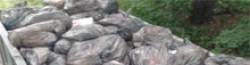 27 Июля 2020 года из Шарташского лесопарка с территории арендуемой ООО фирма ПРУЗ были вывезены твердые бытовые отходы в количестве 20 кубометров
